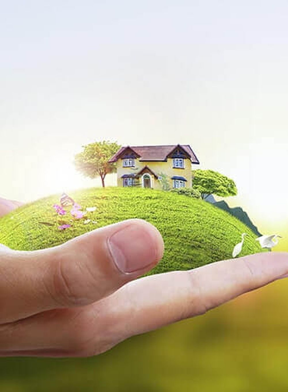 Smart Buying & Renting Solutions