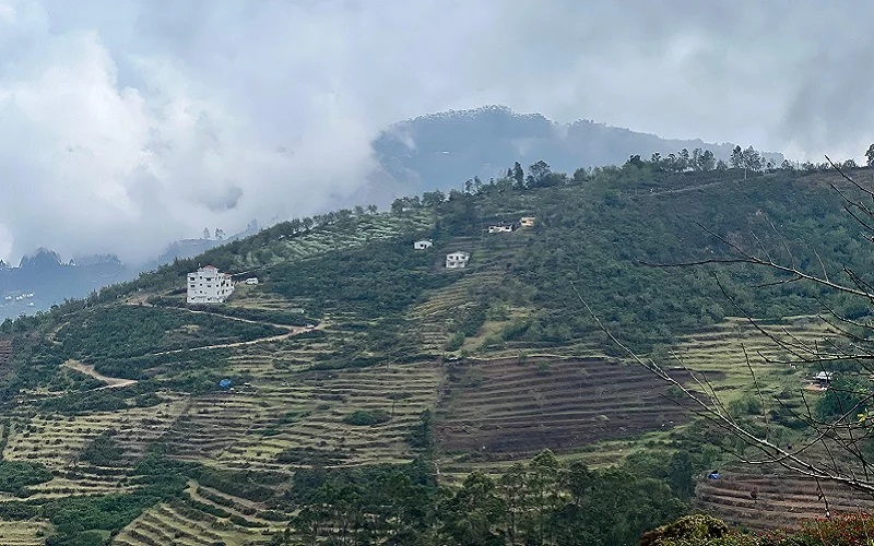 Hill Top DTCP Approved Plots