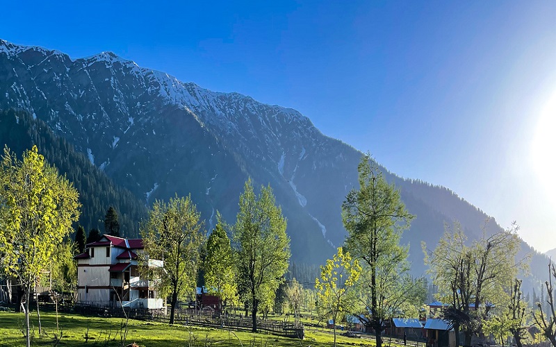 The Ultimate Way to List Sale House in Srinagar And Sell Property Online Successfully