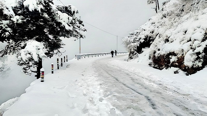 How to sell land fast in a hill station?