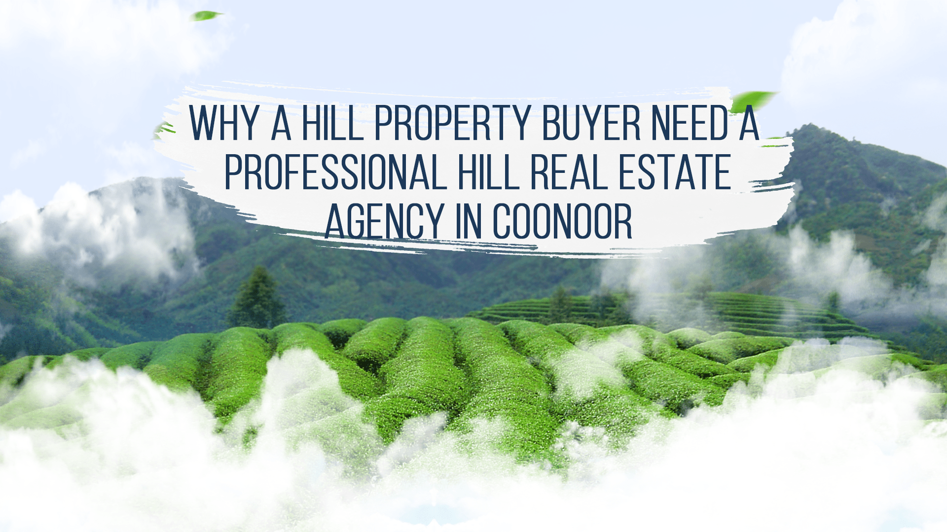 Why a Property Buyer need A  Professional Hill Real Estate Agency in Coonoor?