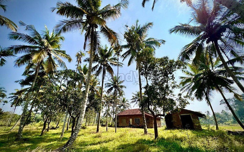 ₹1.30 Cr&nbsp;|&nbsp;7 acres residential plot for sale  in pulpally wayanad