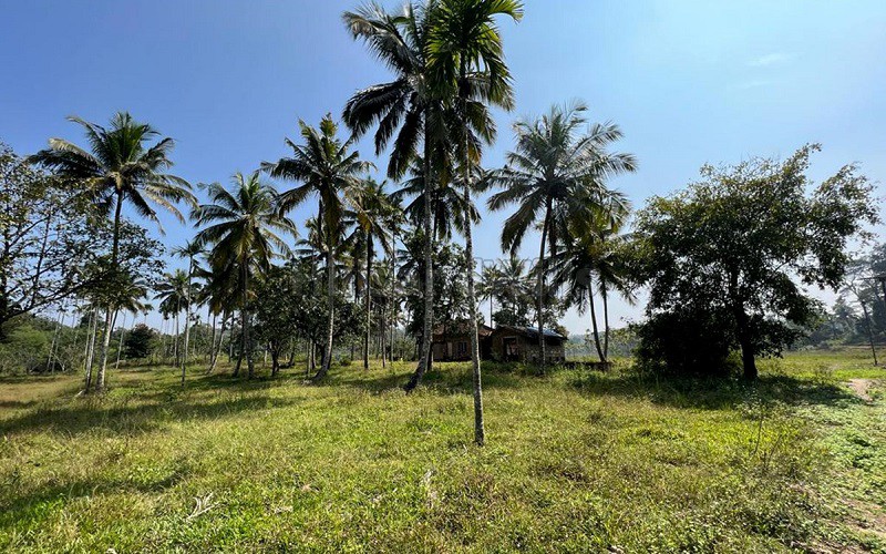 ₹1.30 Cr&nbsp;|&nbsp;7 acres residential plot for sale  in pulpally wayanad