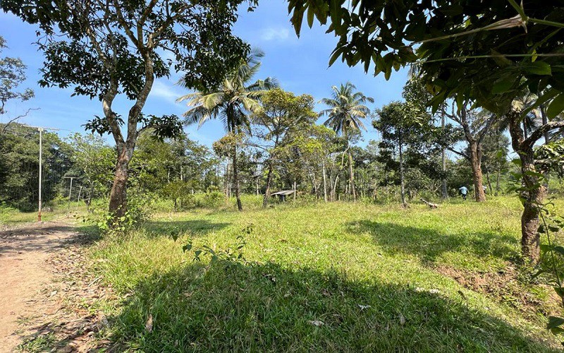 ₹1.30 Cr&nbsp;|&nbsp;7 acres residential plot for sale  in pulpally wayanad