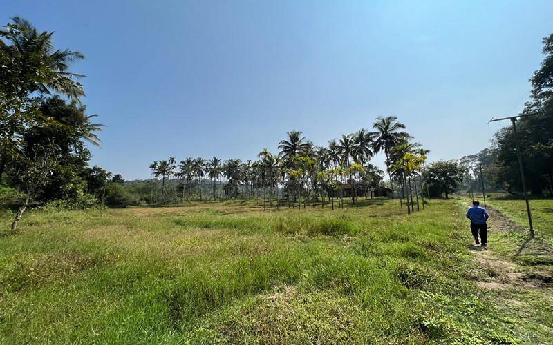 ₹1.30 Cr&nbsp;|&nbsp;7 acres residential plot for sale  in pulpally wayanad