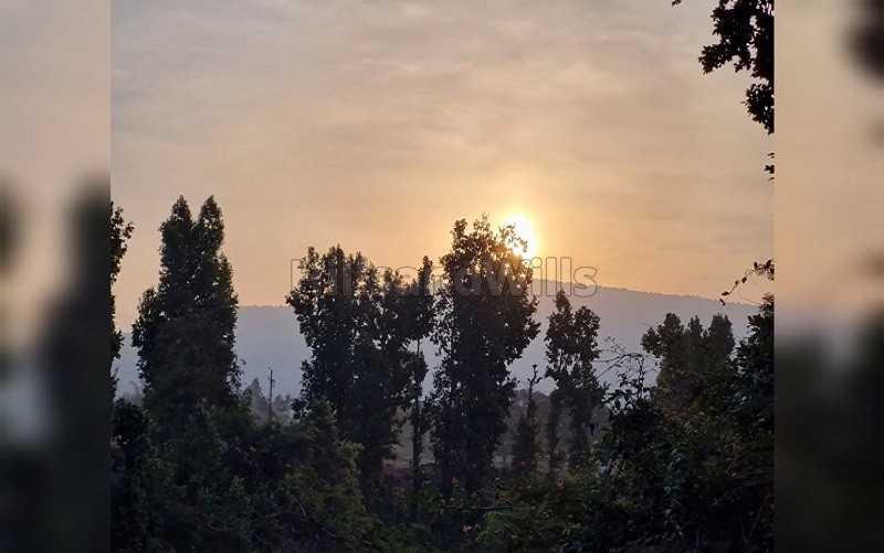 ₹1.75 Cr&nbsp;|&nbsp;1170 sq.yards agriculture land for sale  in chowki dhaulas dehradun