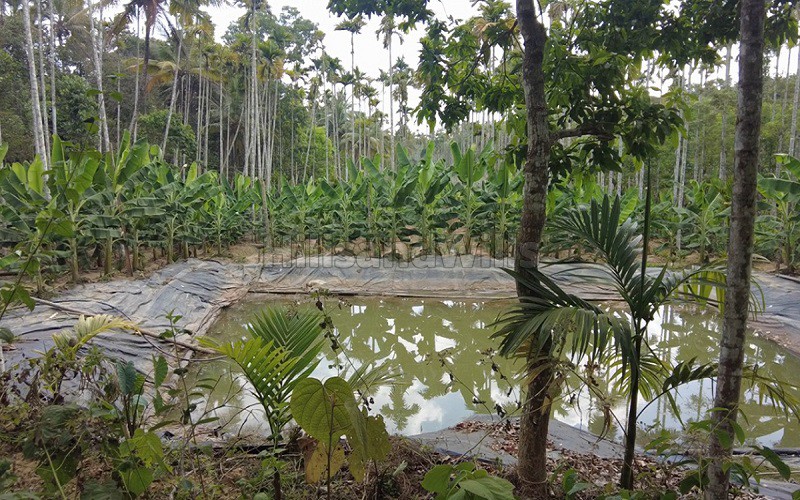 ₹1.80 Cr | 6bhk independent house for sale in kenichira wayanad