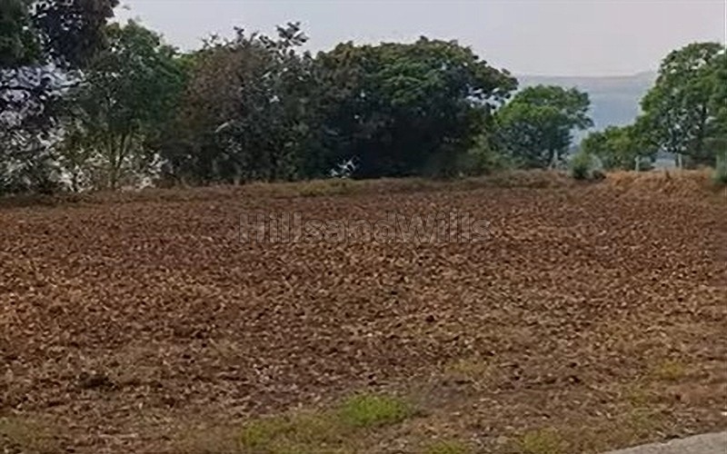 ₹30 Lac&nbsp;|&nbsp;0.5 acres agriculture land for sale  in ghoti igatpuri