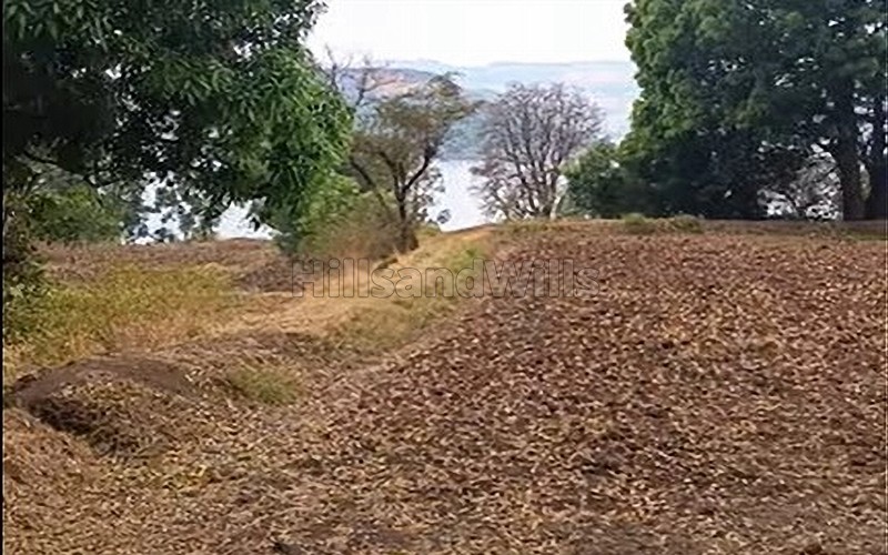 ₹30 Lac&nbsp;|&nbsp;0.5 acres agriculture land for sale  in ghoti igatpuri