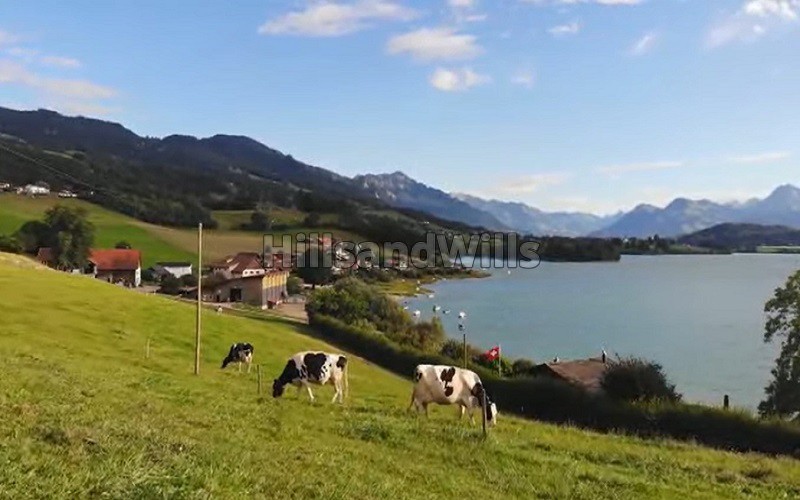 ₹75 Lac&nbsp;|&nbsp;11000 sq.ft. agriculture land for sale  in bhor velle mahabaleshwar