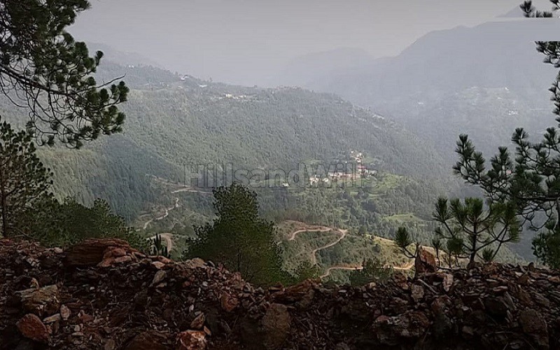 ₹3 Cr | 6 bigha agriculture land for sale in shimla