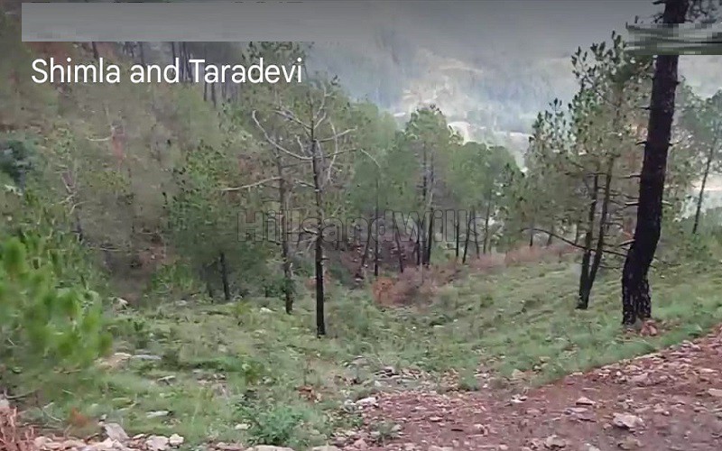 ₹3 Cr | 6 bigha agriculture land for sale in shimla