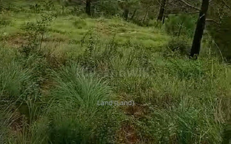 ₹3 Cr | 6 bigha agriculture land for sale in shimla