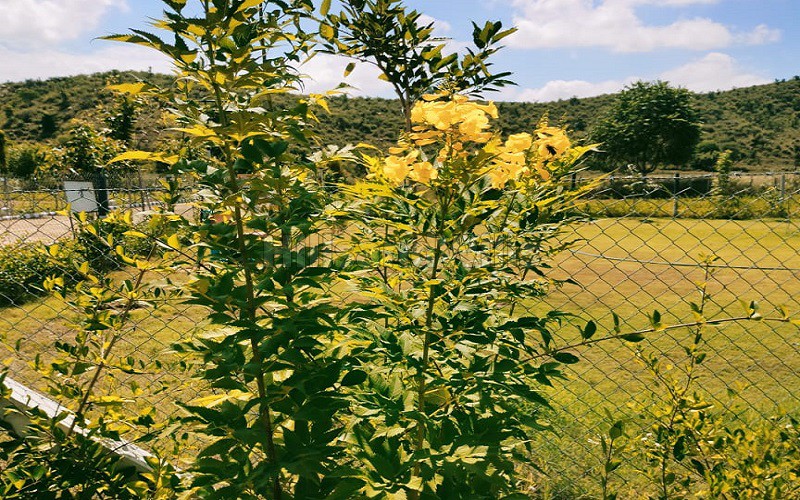 ₹28.80 Lac&nbsp;|&nbsp;400 sq.yards residential plot for sale  in kumbhaws, shahpura, aravalli hills