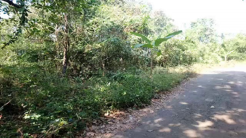 ₹80.64 Lac&nbsp;|&nbsp;64 guntha agriculture land for sale  in sindhudurga, sawantwadi maharashtra