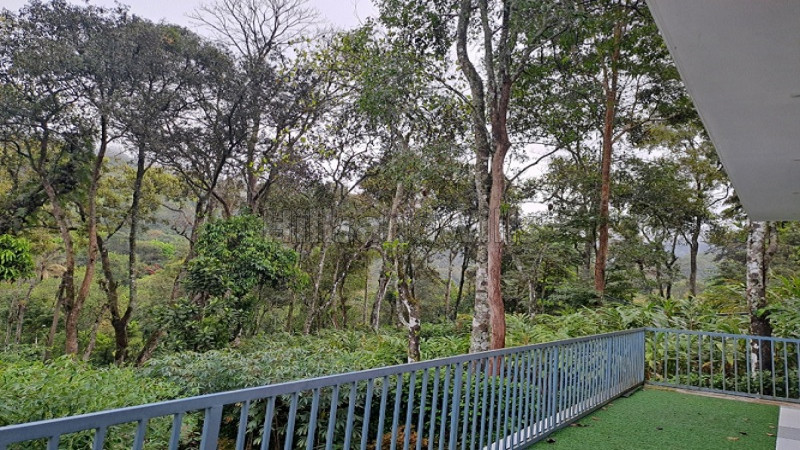 ₹85 Lac&nbsp;|&nbsp;4bhk villa for sale  in bisonvalley munnar