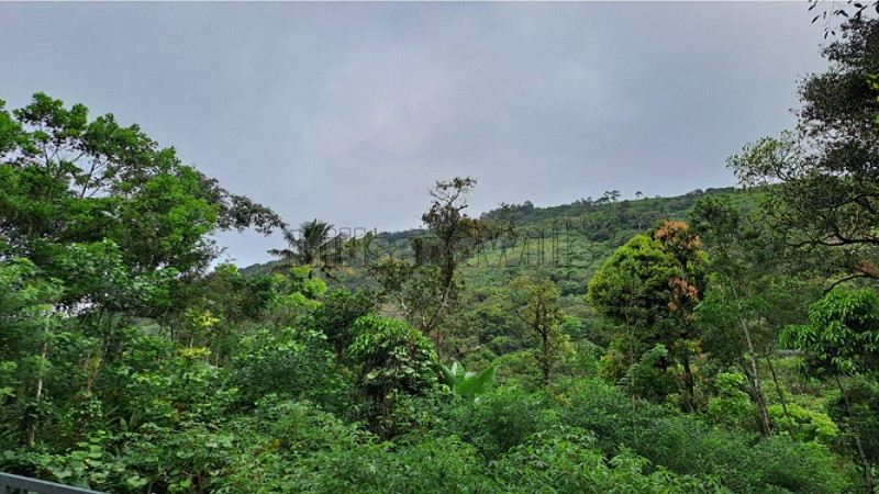 ₹85 Lac&nbsp;|&nbsp;4bhk villa for sale  in bisonvalley munnar