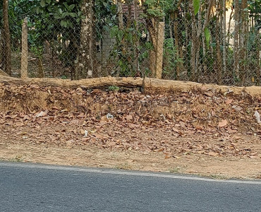 4356 sq.ft. residential plot for sale  in sulthan bathery wayanad