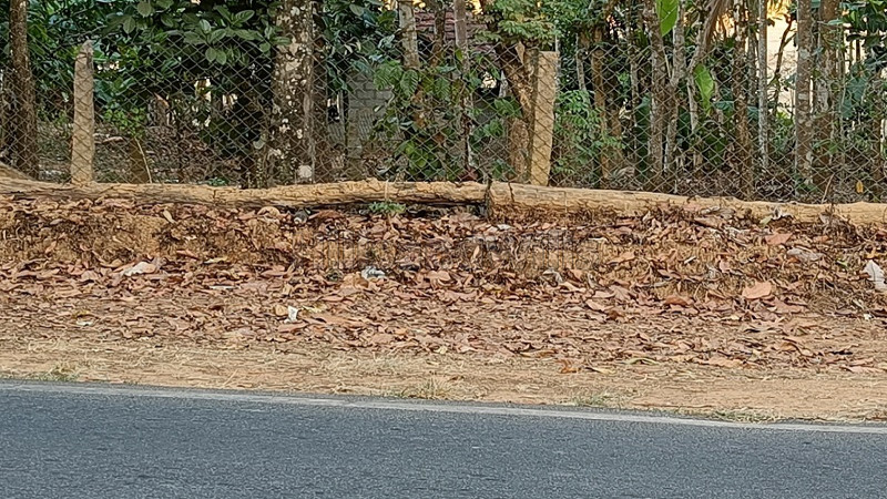 ₹35 Lac | 4356 sq.ft. residential plot for sale in sulthan bathery wayanad