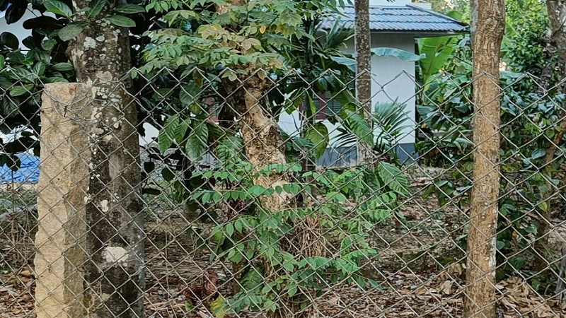 ₹35 Lac | 4356 sq.ft. residential plot for sale in sulthan bathery wayanad