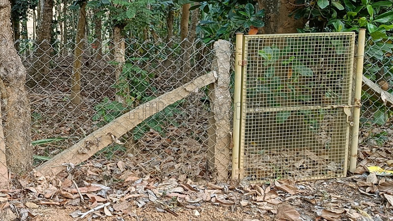 ₹35 Lac | 4356 sq.ft. residential plot for sale in sulthan bathery wayanad