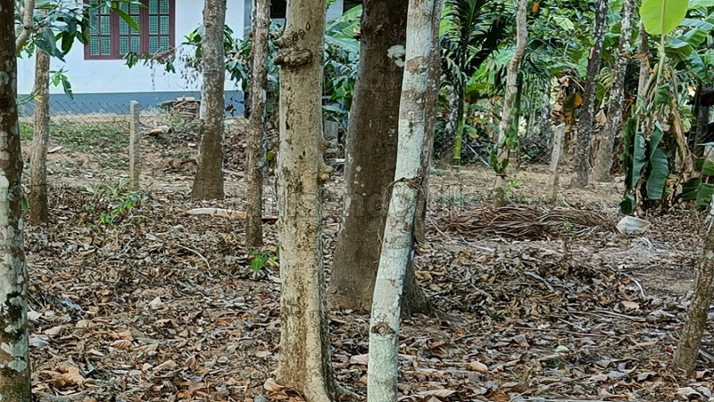 ₹35 Lac | 4356 sq.ft. residential plot for sale in sulthan bathery wayanad