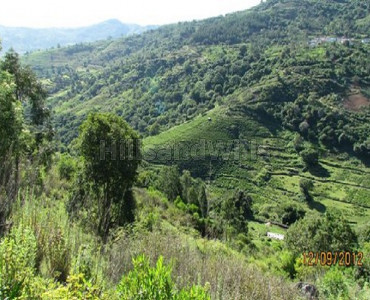 7bhk cottage for sale  in sholur ooty