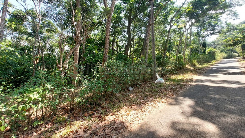 ₹2.40 Cr&nbsp;|&nbsp;6 acres agriculture land for sale  in munnar