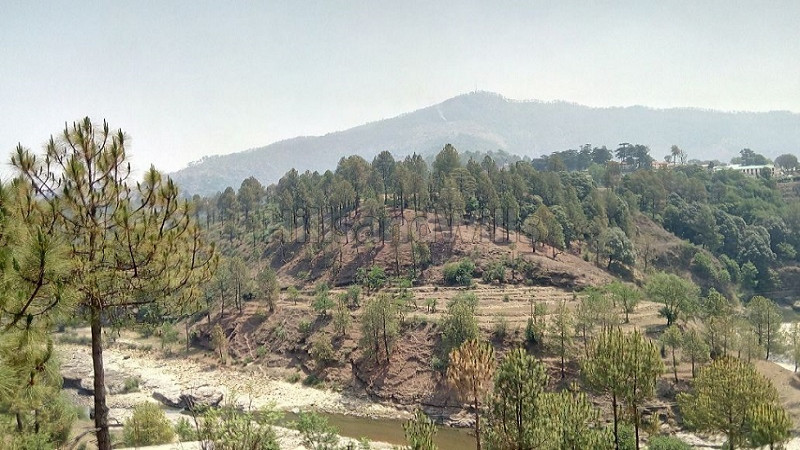 ₹1.20 Cr&nbsp;|&nbsp;8 nali commerical land for sale  in kosi almora near nainital