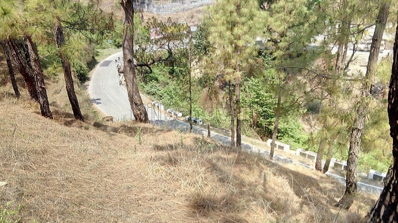 ₹1.20 Cr&nbsp;|&nbsp;8 nali commerical land for sale  in kosi almora near nainital