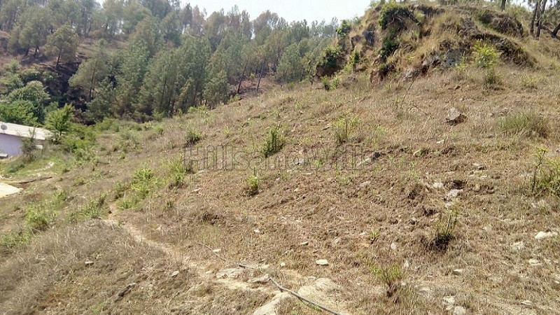 ₹1.20 Cr&nbsp;|&nbsp;8 nali commerical land for sale  in kosi almora near nainital