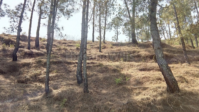 ₹1.20 Cr&nbsp;|&nbsp;8 nali commerical land for sale  in kosi almora near nainital