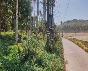 40 cents residential plot for sale  in sulthan bathery wayanad