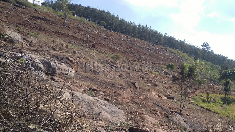 ₹60 Lac | 3 acres agriculture land for sale in perakkarai nadu kolli hills