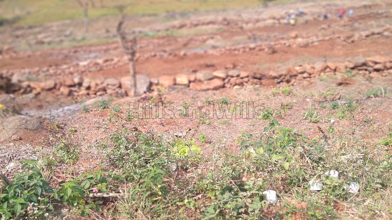₹60 Lac | 3 acres agriculture land for sale in perakkarai nadu kolli hills
