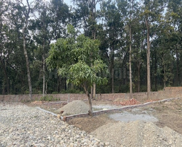 250 sq.yards residential plot for sale  in dhakonwala dehradun