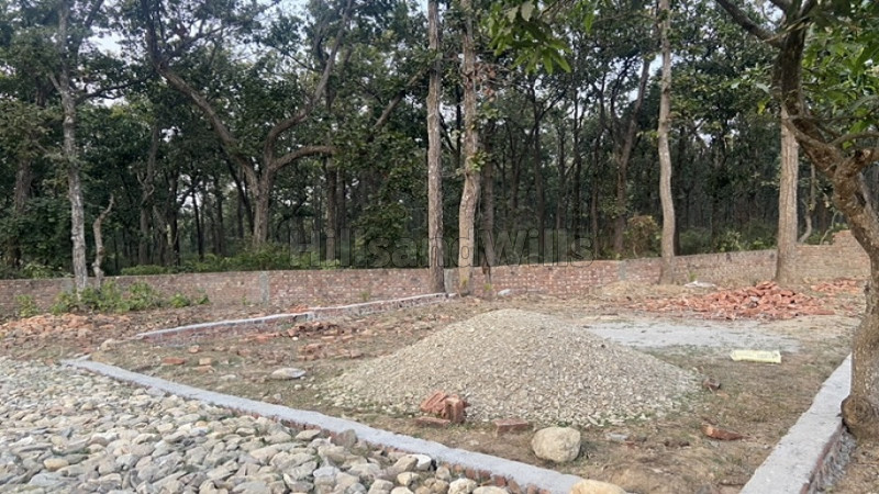 ₹36 Lac&nbsp;|&nbsp;250 sq.yards residential plot for sale  in dhakonwala dehradun