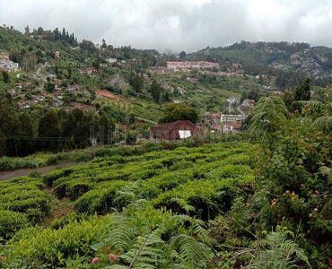 10000 sq.ft. residential plot for sale  in wellington barracks coonoor