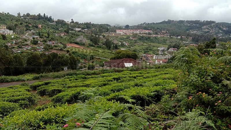 ₹1.35 Cr | 10000 sq.ft. residential plot for sale in wellington barracks coonoor