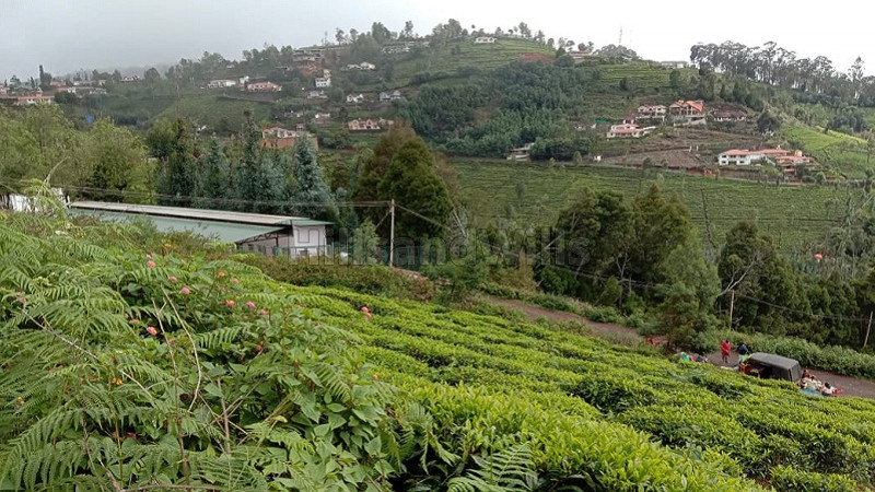₹1.35 Cr | 10000 sq.ft. residential plot for sale in wellington barracks coonoor