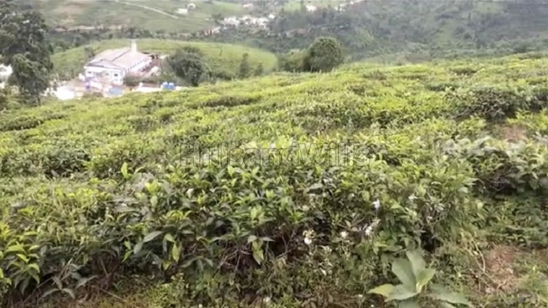 ₹1.40 Cr&nbsp;|&nbsp;25000 sq.ft. agriculture land for sale  in selas hullical coonoor