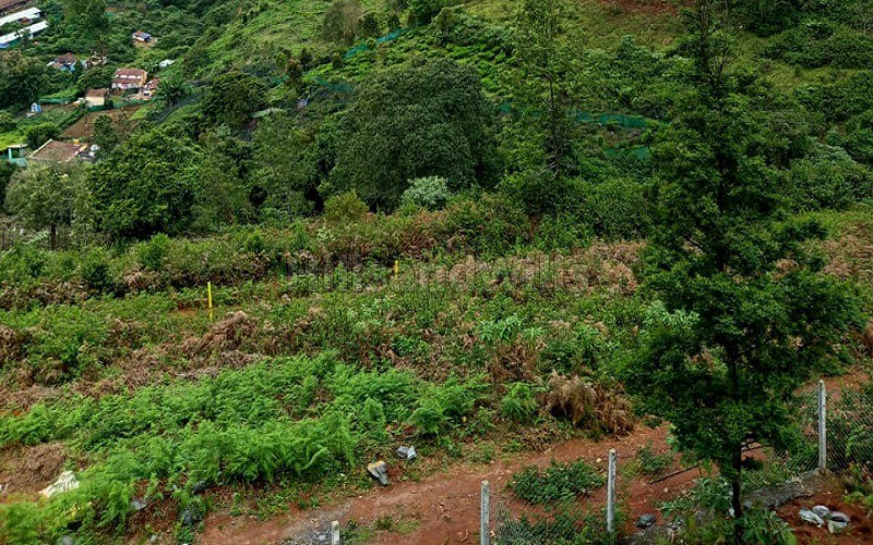 ₹18 Lac | 1200 sq.ft. commerical land for sale in selas coonoor