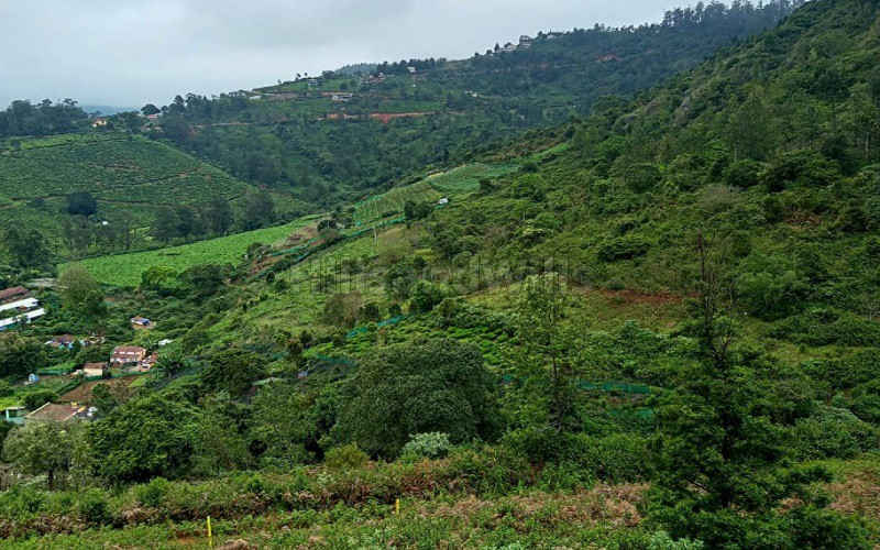 ₹18 Lac | 1200 sq.ft. commerical land for sale in selas coonoor