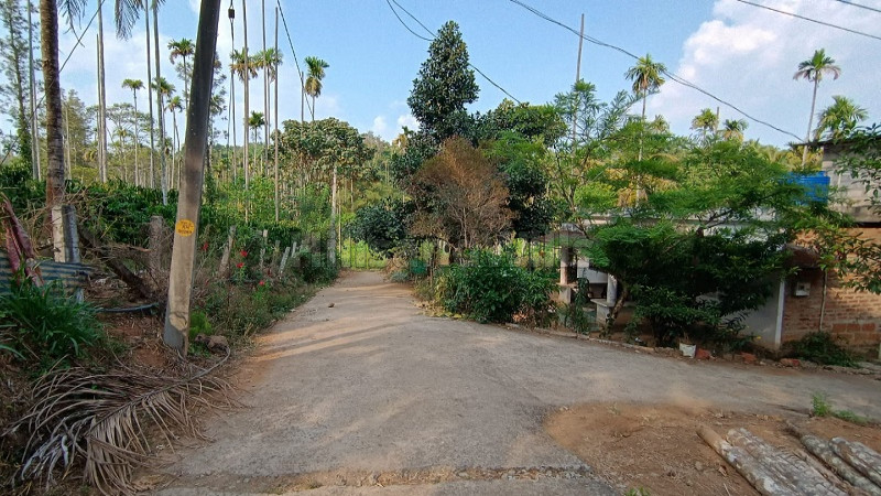₹35 Lac&nbsp;|&nbsp;1 acres residential plot for sale  in bathery wayanad