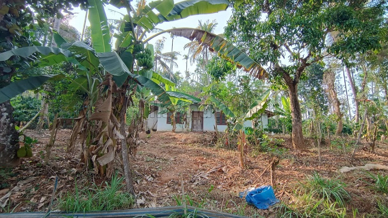 ₹35 Lac&nbsp;|&nbsp;1 acres residential plot for sale  in bathery wayanad