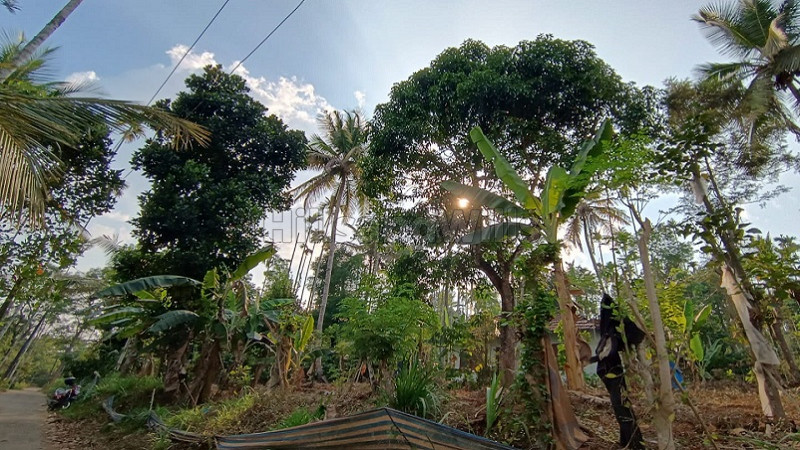 ₹35 Lac&nbsp;|&nbsp;1 acres residential plot for sale  in bathery wayanad