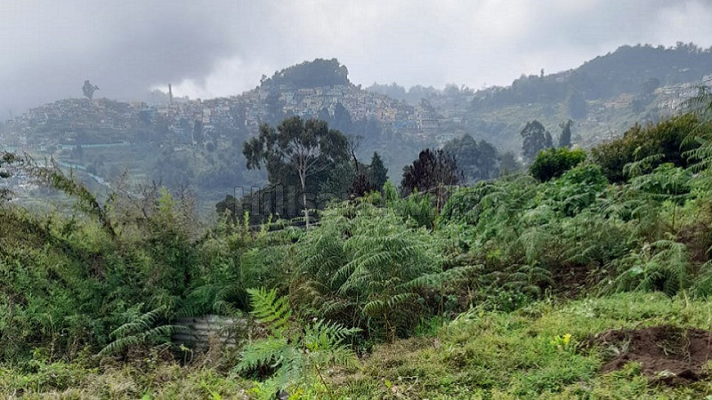 ₹2.30 Cr | 80 cents residential plot for sale in kurinji nagar kodaikanal
