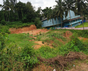 60 cents residential plot for sale  in sulthan bathery wayanad