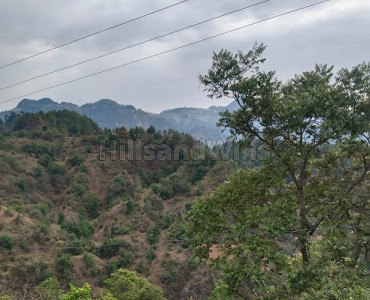 100 bigha commerical land for sale  in airport area shimla