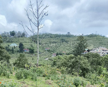 50 cents commerical land for sale  in peermede idukki